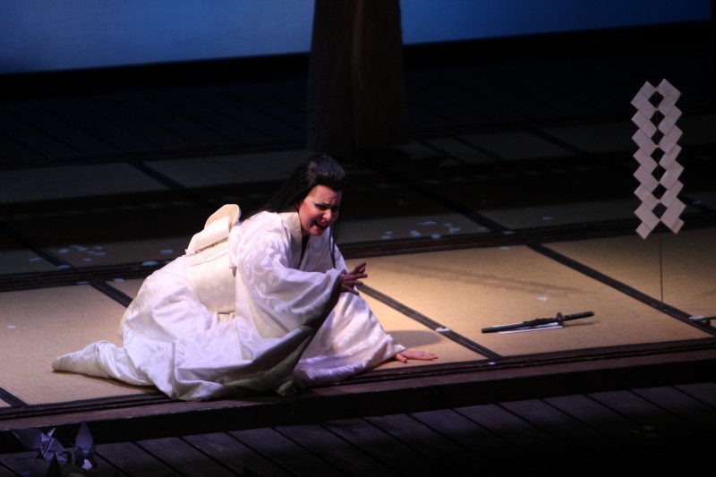 Teatro  Pavarotti di Modena: MADAMA BUTTERFLY